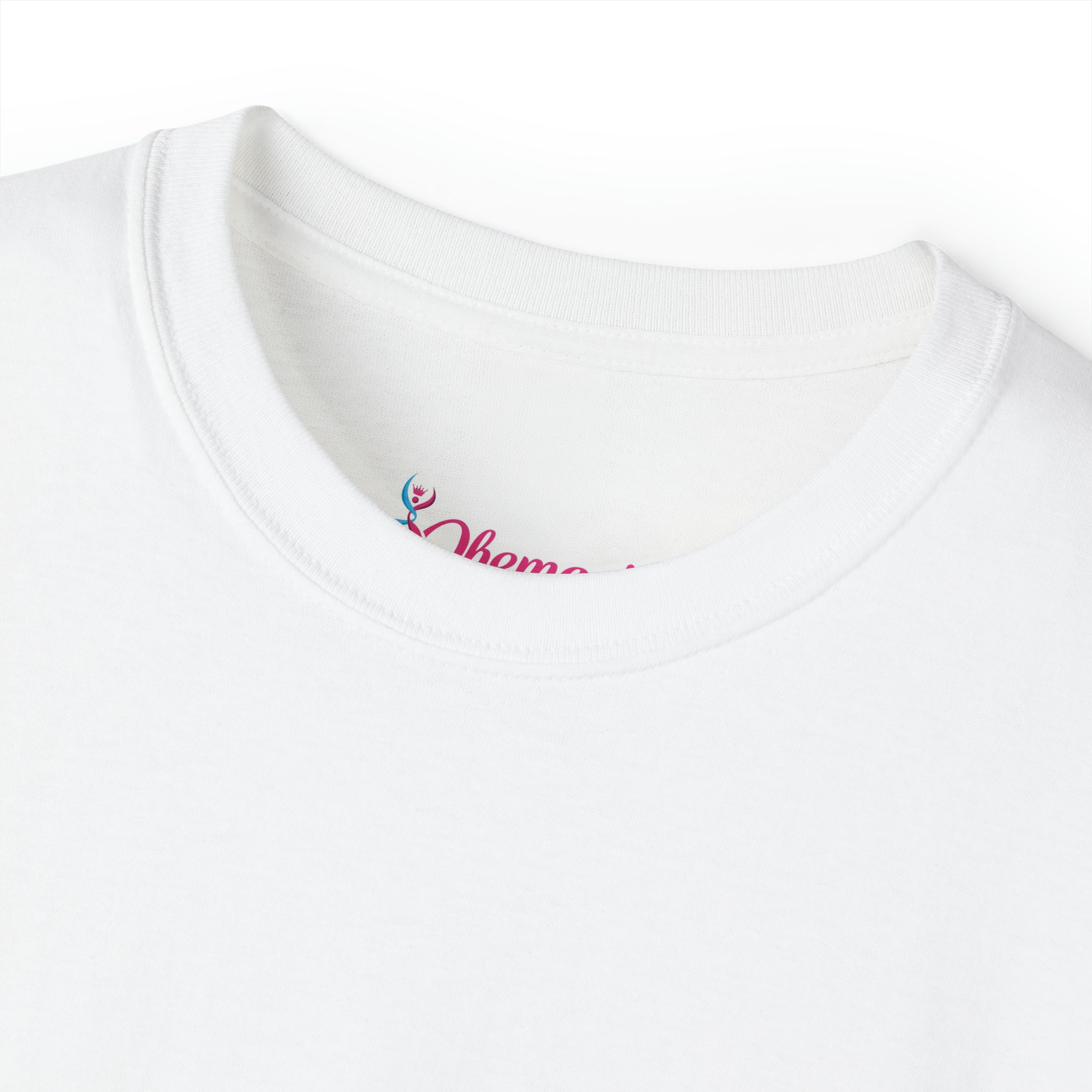 Hurricane Idalia t-shirt, t-shirt,Tee