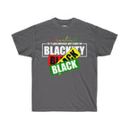 Juneteenth t-shirt, Unisex Tee, 1865,
