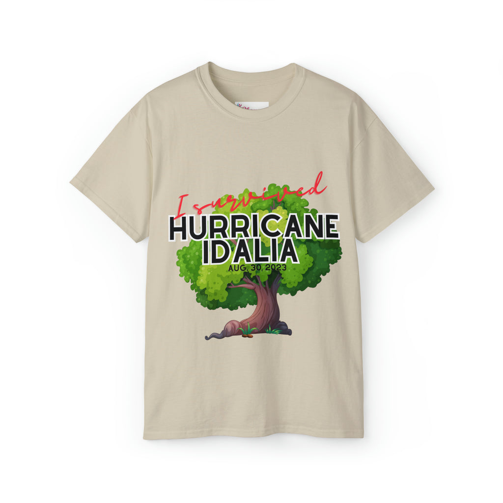 Hurricane Idalia t-shirt, t-shirt,Tee