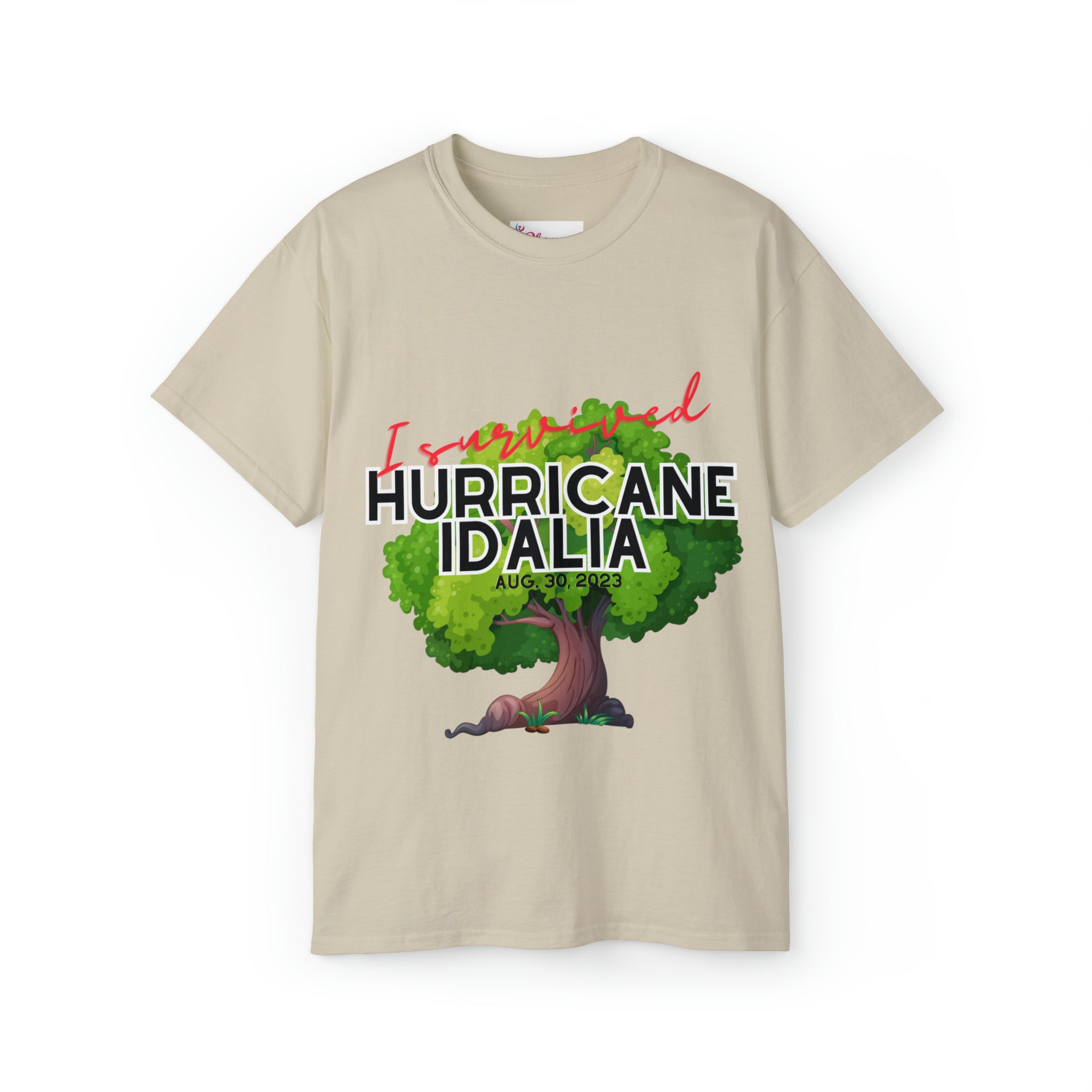 Hurricane Idalia t-shirt, t-shirt,Tee