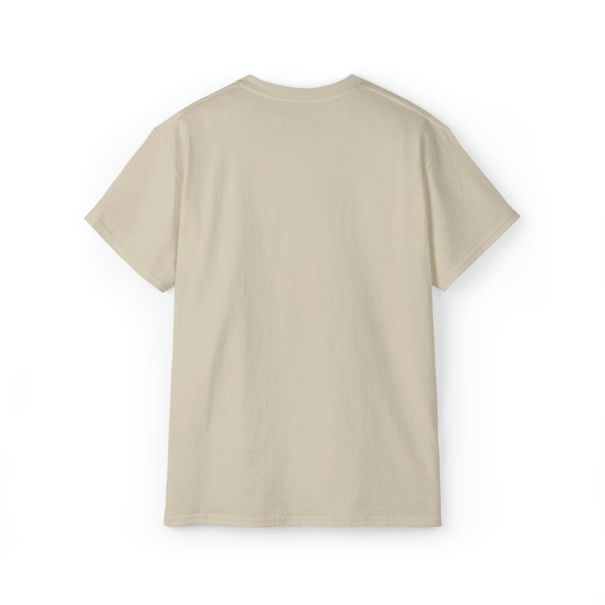 Hurricane Idalia t-shirt, t-shirt,Tee