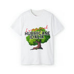 Hurricane Idalia t-shirt, t-shirt,Tee