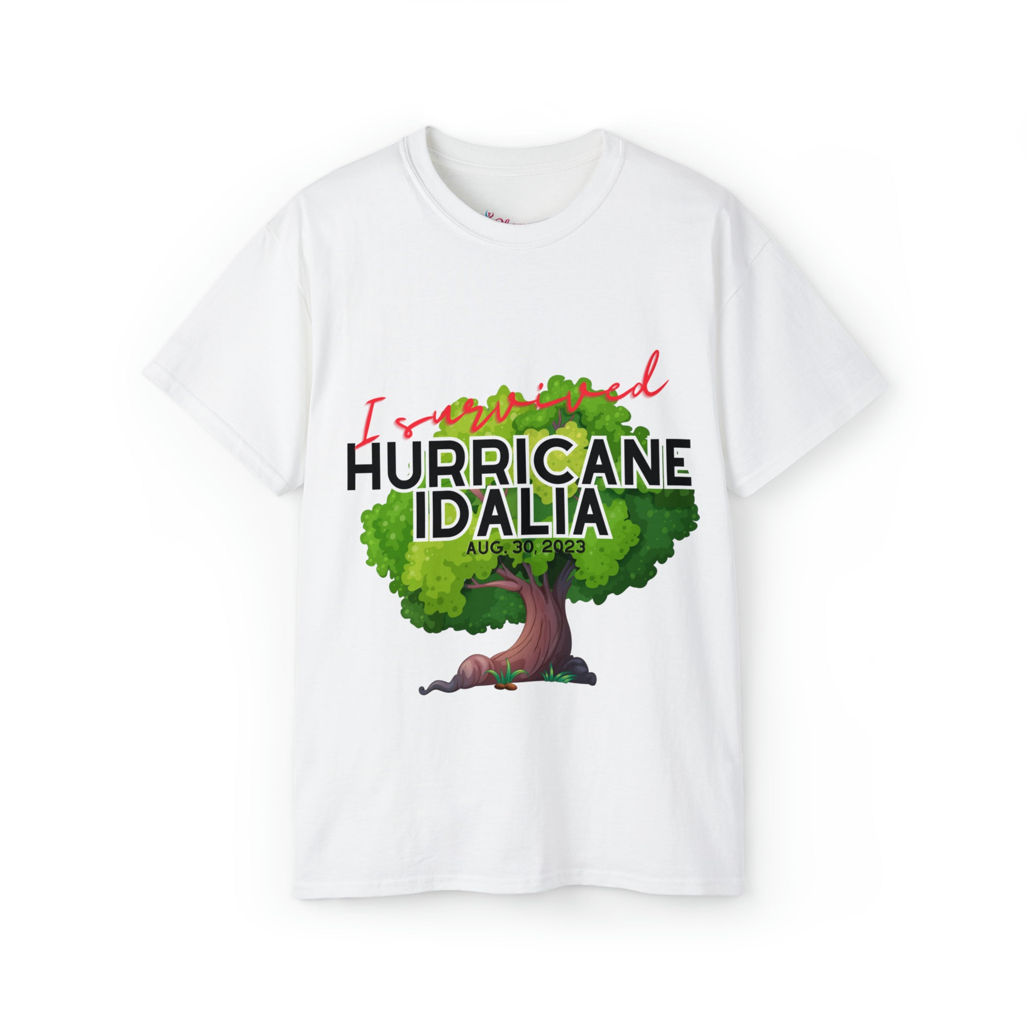 Hurricane Idalia t-shirt, t-shirt,Tee