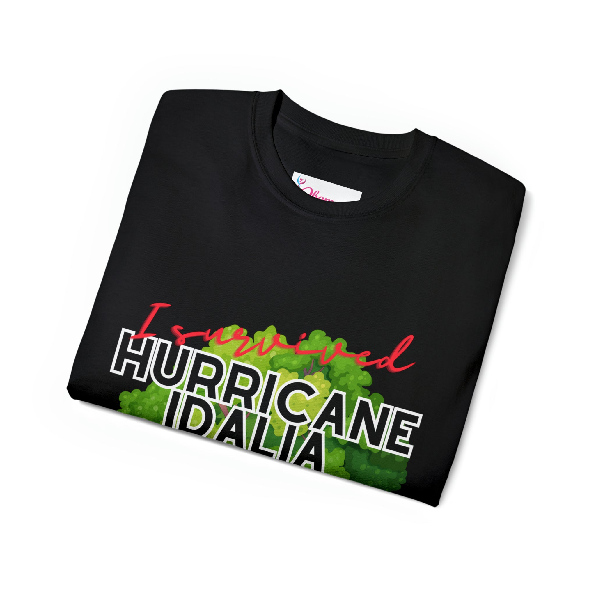 Hurricane Idalia t-shirt, t-shirt,Tee