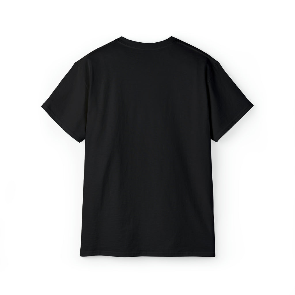 Hurricane Idalia t-shirt, t-shirt,Tee