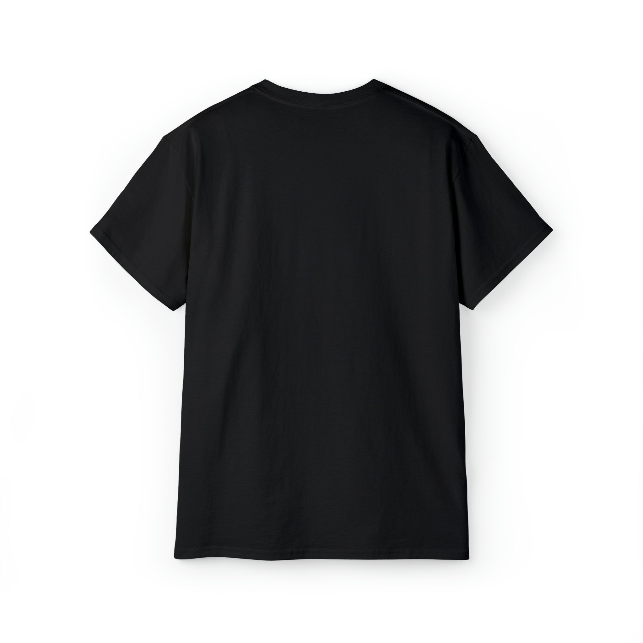 Hurricane Idalia t-shirt, t-shirt,Tee
