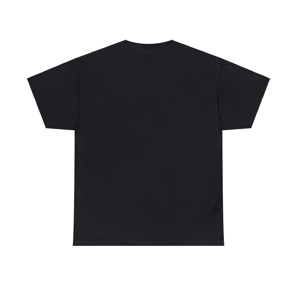 Black History t-shirt, Cotton T-shirt, Black t-shirt, T-shirt