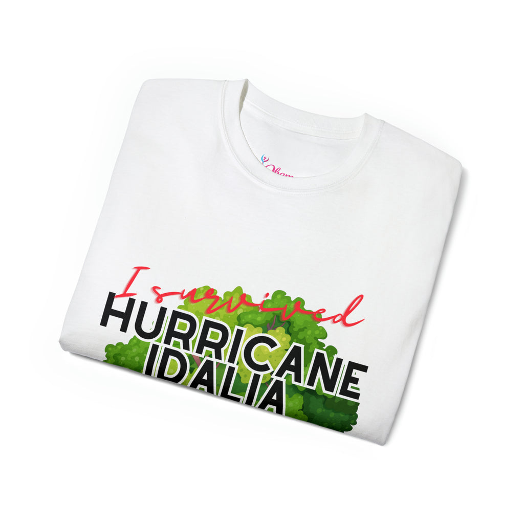 Hurricane Idalia t-shirt, t-shirt,Tee