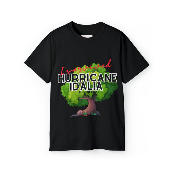 Hurricane Idalia t-shirt, t-shirt,Tee