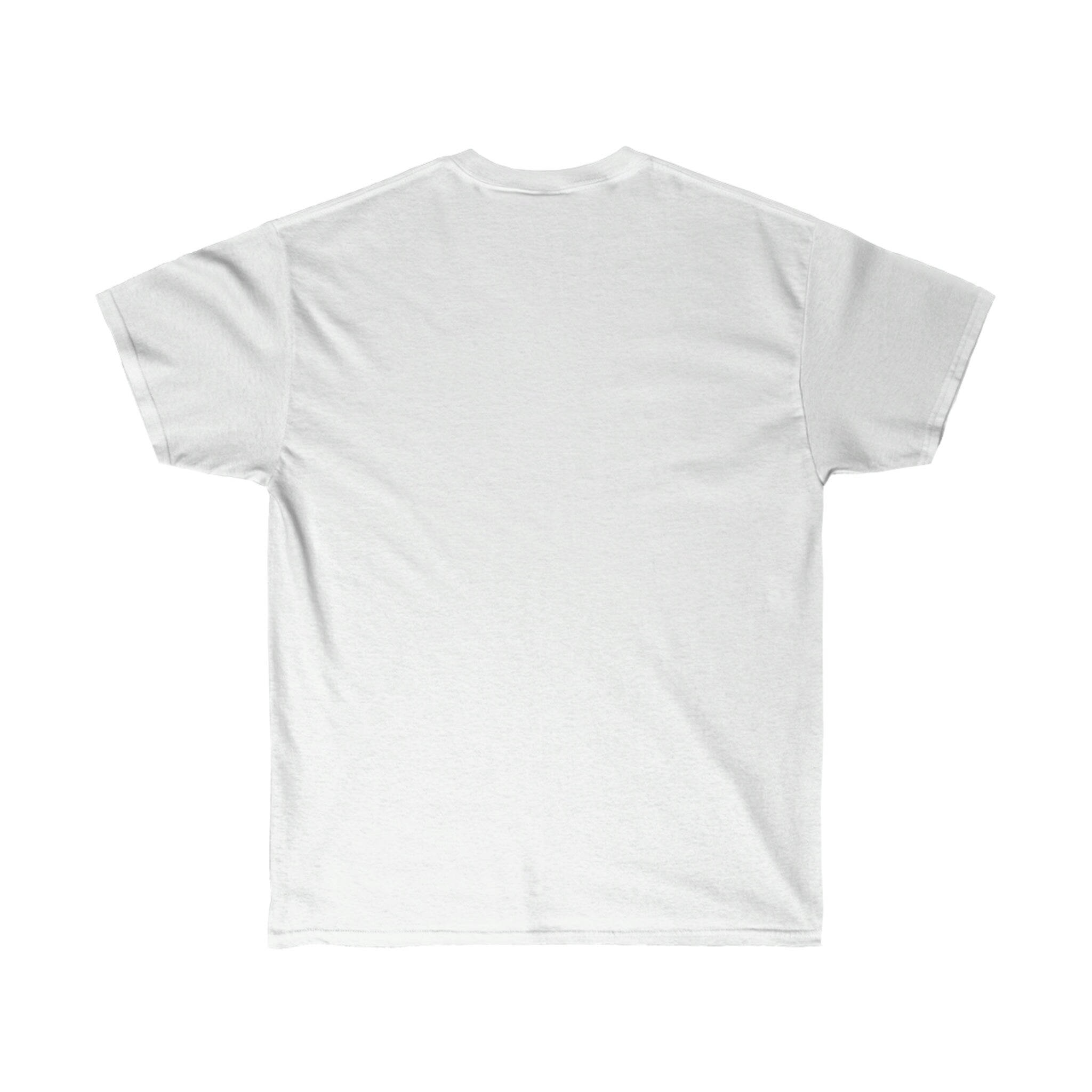 Christian Tee, Christian Shirt, Inspirational Tee, Inspirational Gift,